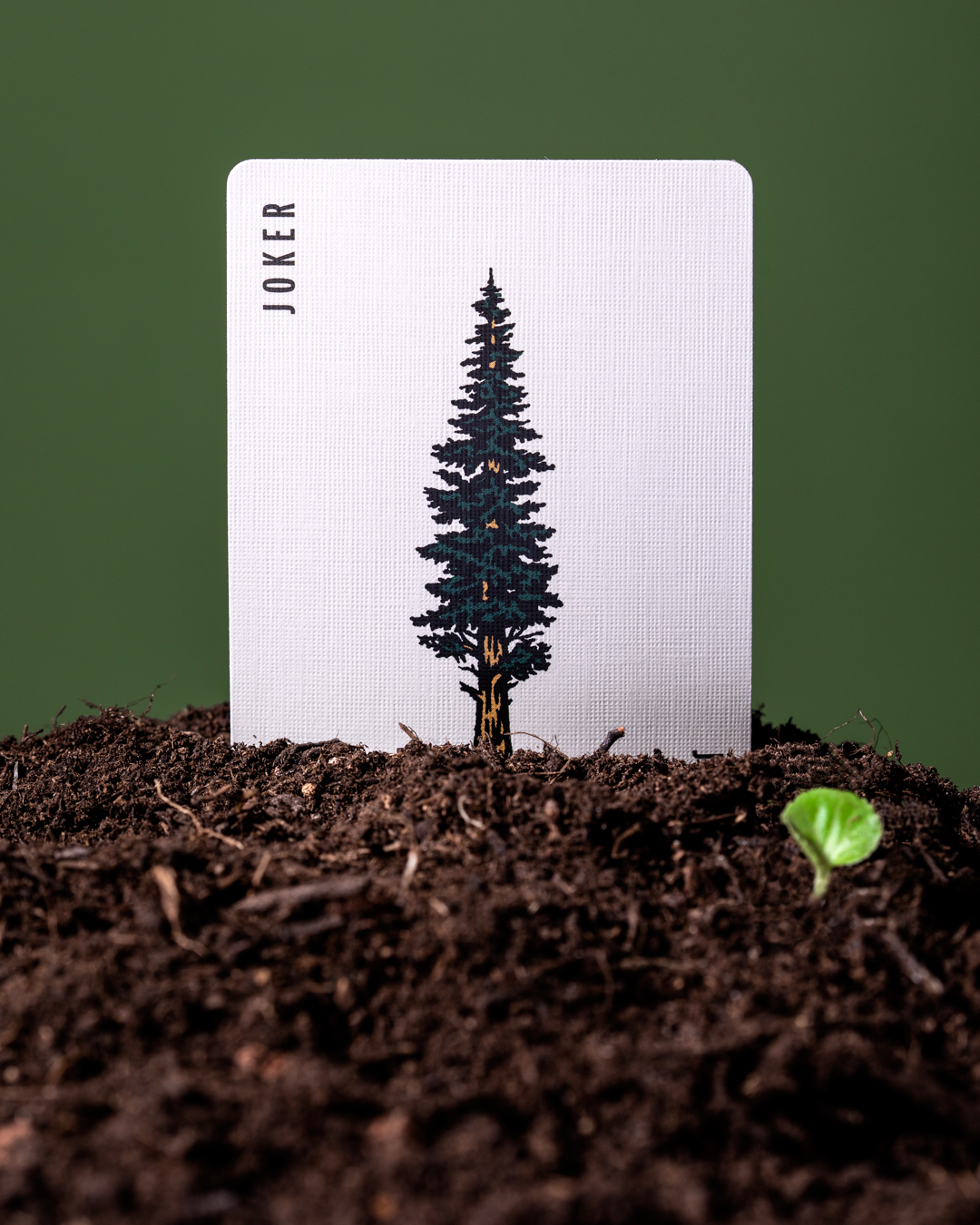 Smokey Bear Playing Cards – Novelty Collector Card Deck